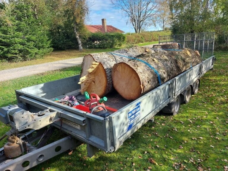 Træstammer på trailer i en have
